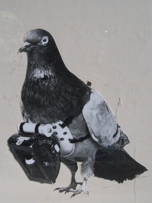 Fotógrafos de palomas del Dr. Neubronner 11 Mecanismo de sincronización de cámara de paloma en miniatura