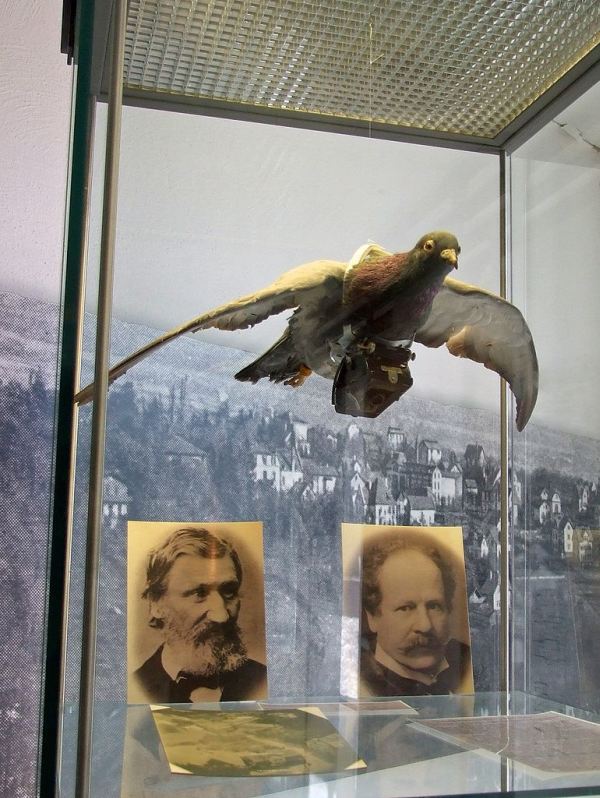 Fotógrafos de palomas del Dr. Neubronner 23 Paloma del Museo Kronberger