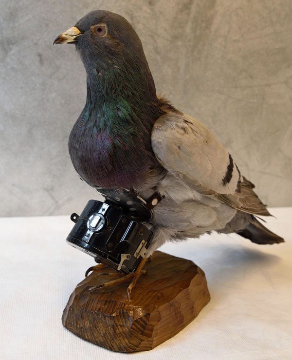 Fotógrafos de palomas del Dr. Neubronner 25 Cámara panorámica deportiva Doppel