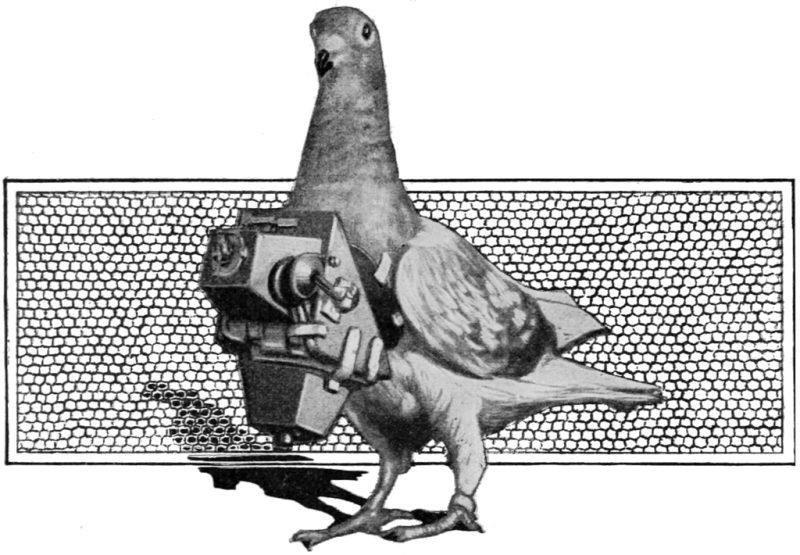 Fotógrafos de palomas del Dr. Neubronner 18 Paloma de ilustración de ciencia popular