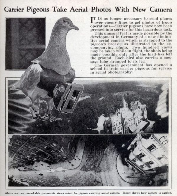 Fotógrafos de palomas del Dr. Neubronner 22 Palomas Mensajeras Mechanix