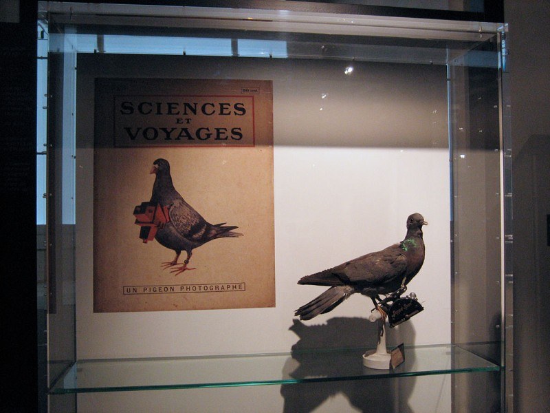 Fotógrafos de palomas del Dr. Neubronner 24 Museo del fotógrafo de palomas Póster