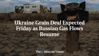 Acuerdo de granos de Ucrania se espera para el viernes