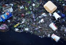 California establece las reglas de reducción de plásticos más estrictas del país