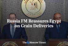 Canciller de Rusia tranquiliza a Egipto sobre entregas de cereales