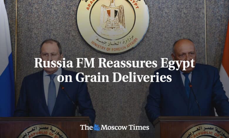 Canciller de Rusia tranquiliza a Egipto sobre entregas de cereales