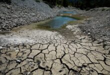 Las temperaturas suben mientras Francia enfrenta su peor sequía registrada