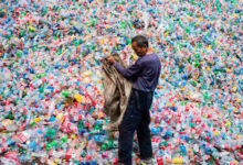 El primer estudio mundial sobre desechos plásticos muestra que las cosas son peores de lo que pensábamos... mucho peores