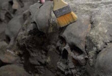 Torre de cráneos humanos descubierta en un antiguo templo plantea nuevas preguntas sobre la cultura azteca