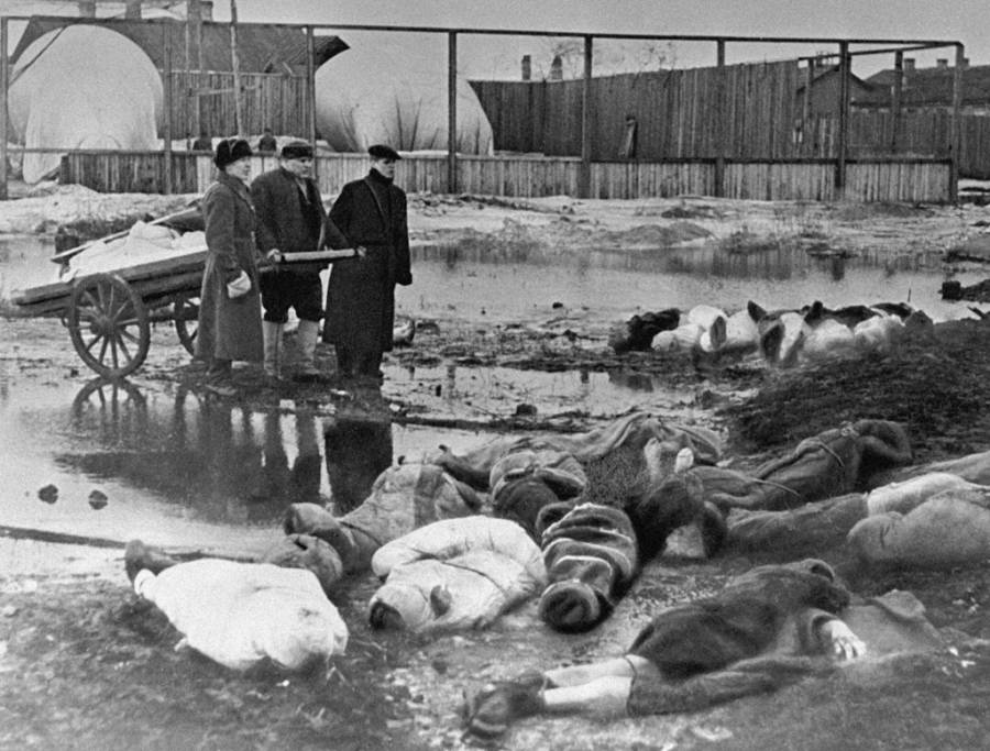 Canibalismo Leningrado OG