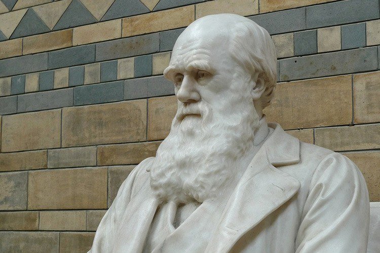 Museo de hechos de Charles Darwin