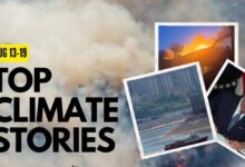 Principales historias climáticas de esta semana: el diseñador huye de una villa siciliana cuando se acerca un incendio forestal, EE. UU. aprueba una ley histórica sobre el cambio climático y más