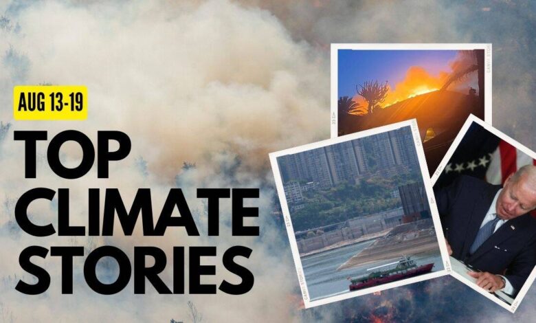 Principales historias climáticas de esta semana: el diseñador huye de una villa siciliana cuando se acerca un incendio forestal, EE. UU. aprueba una ley histórica sobre el cambio climático y más