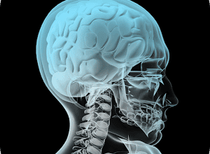 Anatomía 4D - Aldea Juvenil