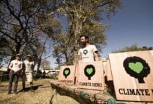 Greenpop - 'Plantar árboles, cambiar mentes'