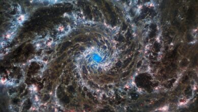 Esta imagen compuesta publicada por la NASA/ESA el 30 de agosto de 2022 desde el Telescopio Espacial James Webb y el Telescopio Espacial Hubble muestra el corazón de M74, también conocida como la Galaxia Fantasma.  M74, una galaxia espiral a 32 millones de años luz de distancia, está compuesta por alrededor de 100 mil millones de estrellas.
