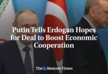 Putin le dice a Erdogan que espera un acuerdo para
