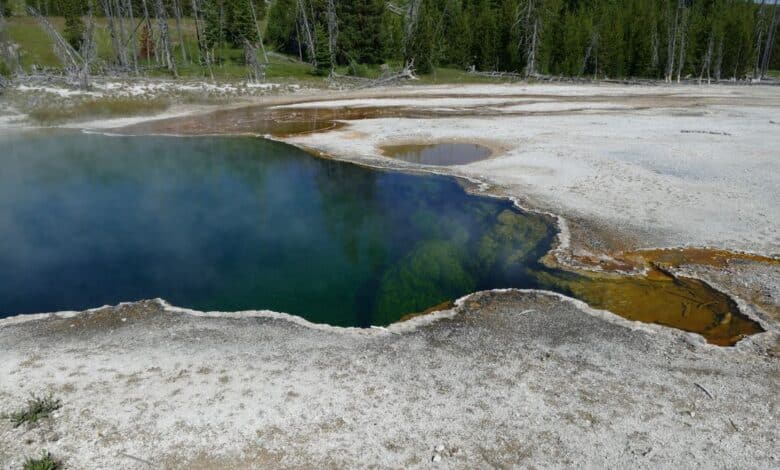 Un pie flotando en una fuente termal de Yellowstone deja más preguntas que respuestas