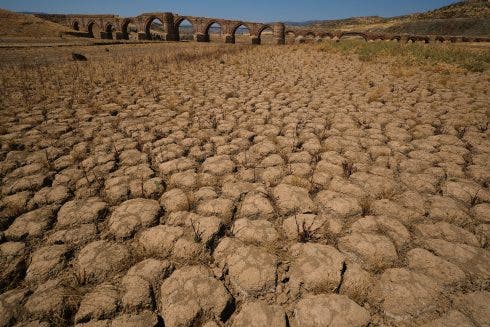 Andauernde Hitze: Trockenheit en la región española de Extremadura