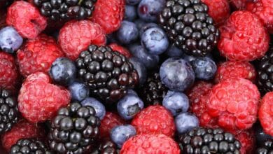 Retiro de mezcla de frutas congeladas en Espana por presencia