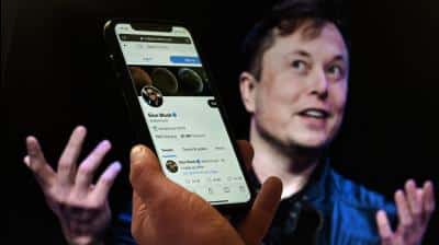 Deberia renunciar como jefe de Twitter pregunto Elon Musk la