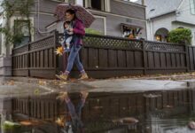 1673654832 Las inundaciones en California provocan una caida en la asistencia