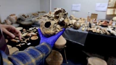 1675345685 Enorme coleccion privada ilegal de artefactos historicos descubierta en la