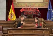 Activistas se pegan a la Camara Baja de Espana en