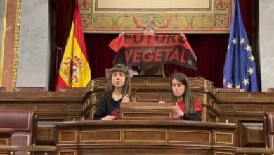 Activistas se pegan a la Cámara Baja de España en protesta por la emergencia climática 3 Activistas se pegan a la Camara Baja de Espana en