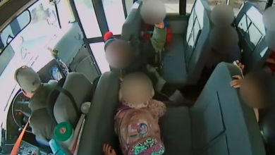 Cargos presentados despues del video del frenado del autobus escolar
