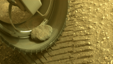 El rover Perseverance de la NASA pierde la "roca mascota" que hacía autostop después de más de un año en Marte