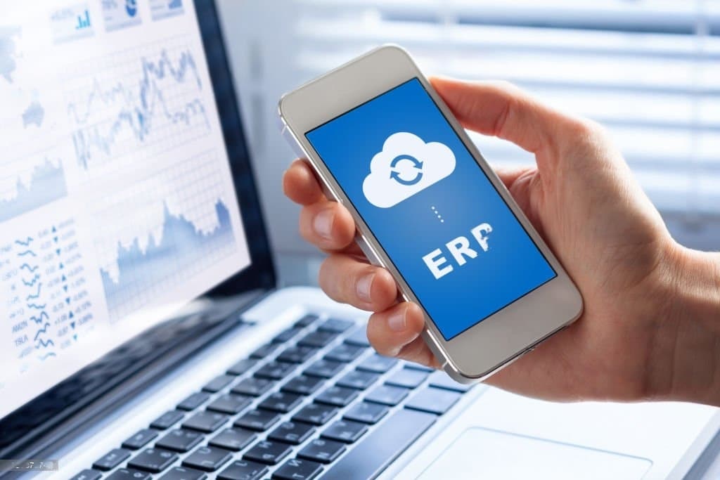 Programa ERP