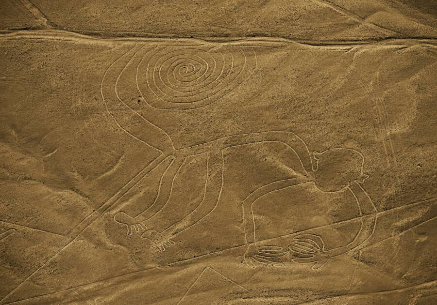 Mono Líneas de Nazca
