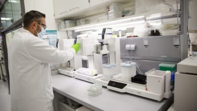 Investigadores espanoles buscan un mejor coctel de inmunoterapia para combatir