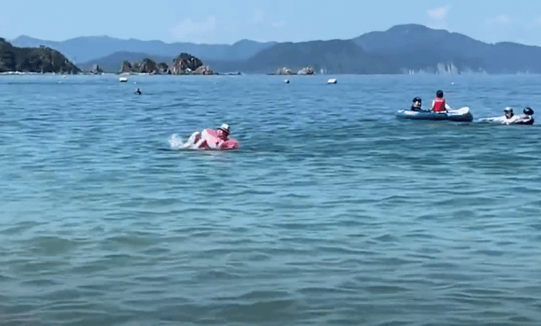 Los delfines aterrorizan y muerden a los bañistas japoneses por segundo año consecutivo 1 Los delfines aterrorizan y muerden a los bañistas japoneses por segundo año consecutivo