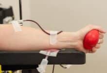 Malaga Espana lanza donacion de sangre de verano