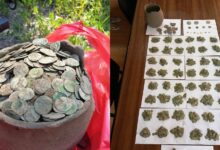 Dozens of coins in a bag and laid out on a table.