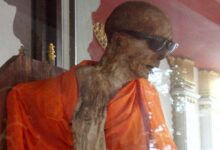 Self-Mummified Monk