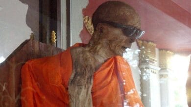 Self-Mummified Monk