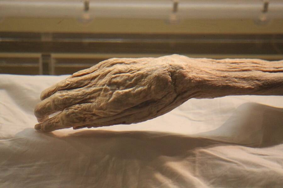 La momia mejor conservada de Xin Zhui