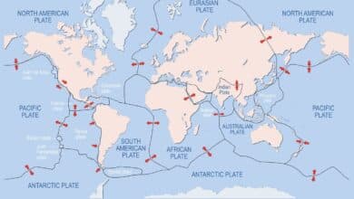 ¿Cuántas placas tectónicas tiene la Tierra? 23 Map of Earth
