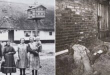 Los asesinatos de Hinterkaifik: el holocausto alemán sin resolver