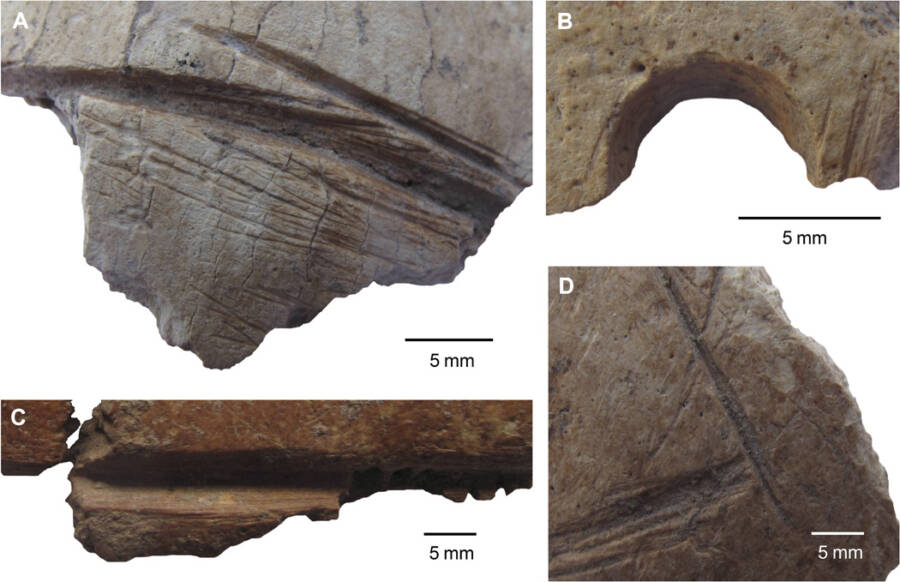 Tallas de hueso en Göbekli Tepe