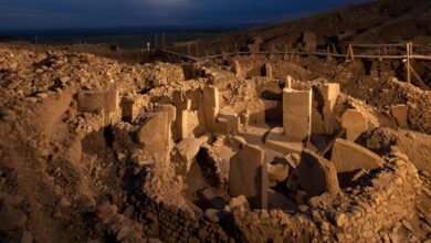 Göbekli Tepe, una maravilla del Neolítico, posiblemente el "templo más antiguo del mundo"