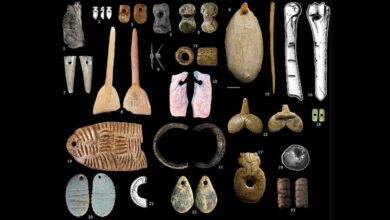 La joyería prehistórica revela 9 culturas diferentes de la Europa de la Edad de Piedra
