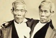 Chang y Eng Bunker, gemelos siameses que se convirtieron en artistas