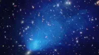 Fotos espaciales de la semana: el cúmulo de galaxias 'El Gordo' cuelga sus entrañas en el mapa más grande jamás creado del campo magnético del espacio
