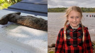 Una niña de 8 años saca una espada de 1.500 años de un lago sueco