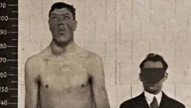 Adam Rayner, el hombre que pasó de enano a gigante