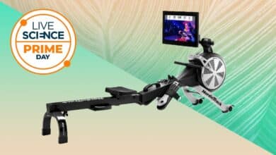 Ahorre más de $600 en esta excelente máquina de remo de NordicTrack 16 NordicTrack Smart Rower